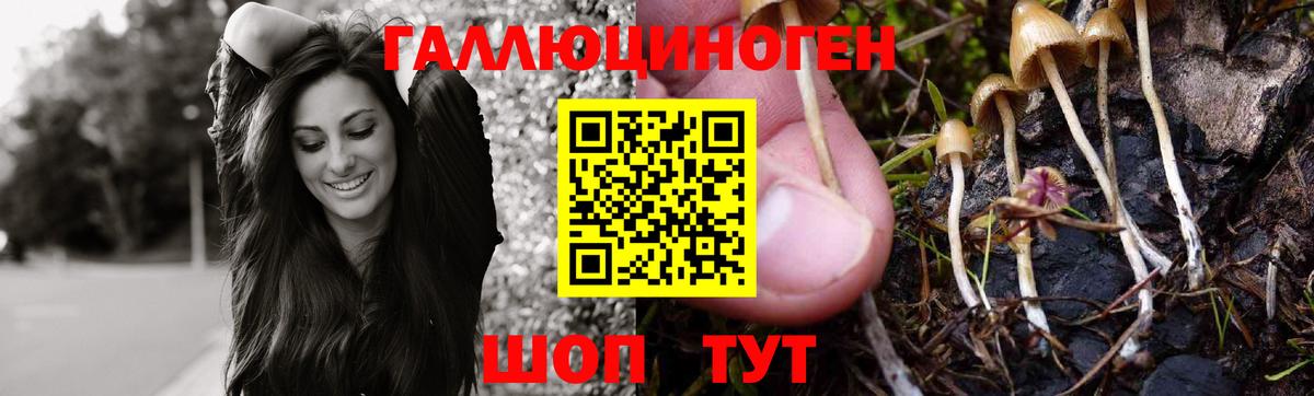 Псилоцибиновые грибы мухоморы Ейск